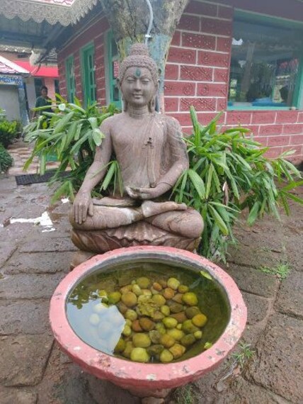 Wildgrass Restaurant-2